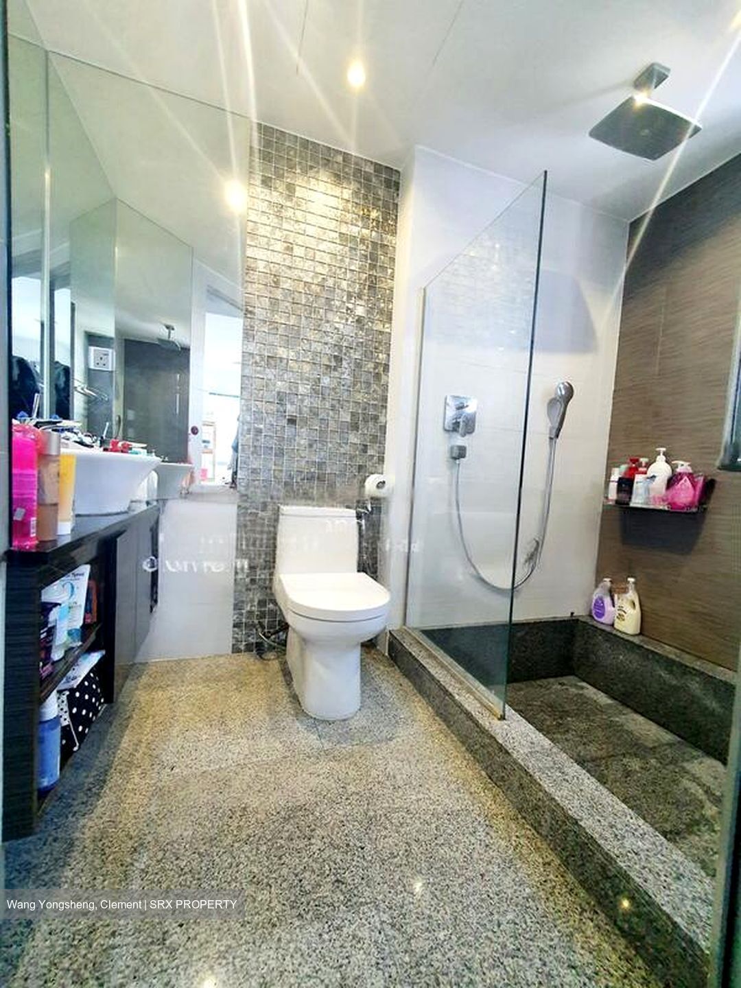 Water Place (D15), Condominium #478610201